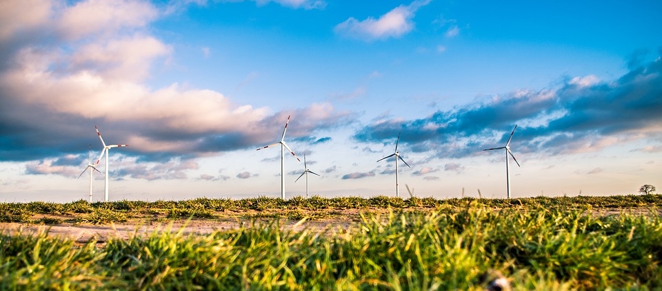 Sustainable Wind Farm