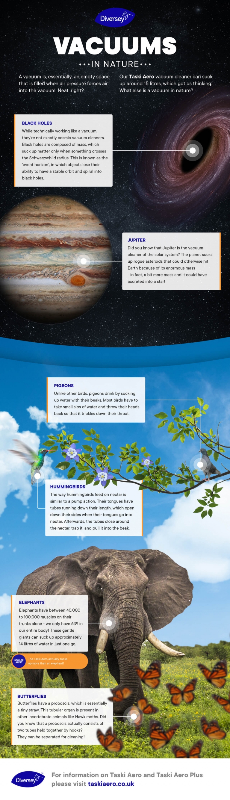 Vacuums in Nature [Infographic] Taski Aero Vacuum Cleaner